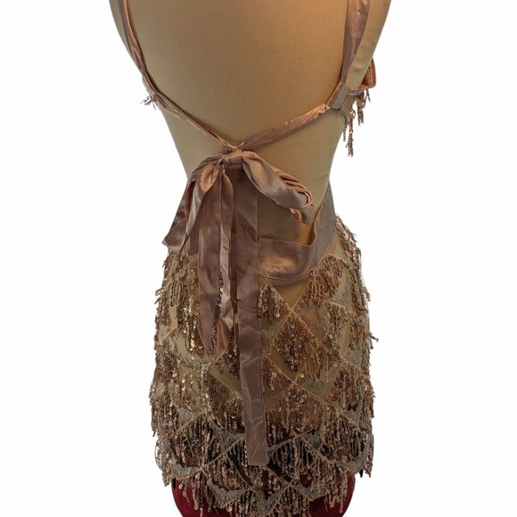 Dress L Sequin Tassel Fringe Sheer Mesh Champaign Louisa Mini Bella Barnett New - Picture 5 of 9